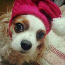 本多駿佑 (@0522syunsuke) Twitter