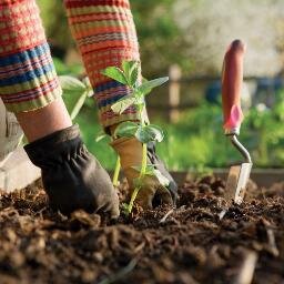 Cultiva tu huerto urbano de forma ecológica, obtén tus propios alimentos en casa, y cultiva tu salud de la forma más económica y saludable que existe.