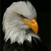 g.yener altinsoy1453 (@yeneraltinsoy) Twitter profile photo g.yener altinsoy1453 (@yeneraltinsoy) Twitter profile photo