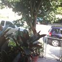 William Staley - @windowweather - Twitter