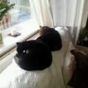 Mandy Glover - @amandyglover - Twitter