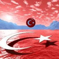 ahmetmerkarakay's profile picture. 