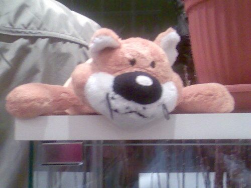 sottosoprago's profile picture. Abbigliamento Donna delle Migliori Marche a Prezzi da Sogno, adesso anche on-line su http://t.co/dHhB5fCa   #SottoSopra