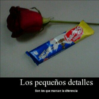 miseenplacegour's profile picture. 