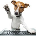 Kamil Ostrowski - @kmo2008 - Twitter