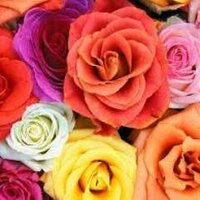 Claire Casey (@clairecasey_) 's Twitter Profile