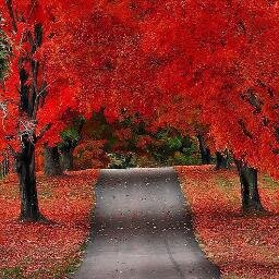 Sympathy you can get from anybody,but Jealousy, You have to earn it.!