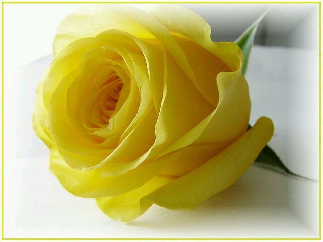 _amaa1399's profile picture. ‏‏منسقة وحدة الاتصال التسويقي بمعهد الإمام الشاطبي ومساعد إداري في مدرسة دار الألفة التابعة لخيركم 
ورئيس مجلس الإدارة بصحيفة إشراقة رؤية سابقاً