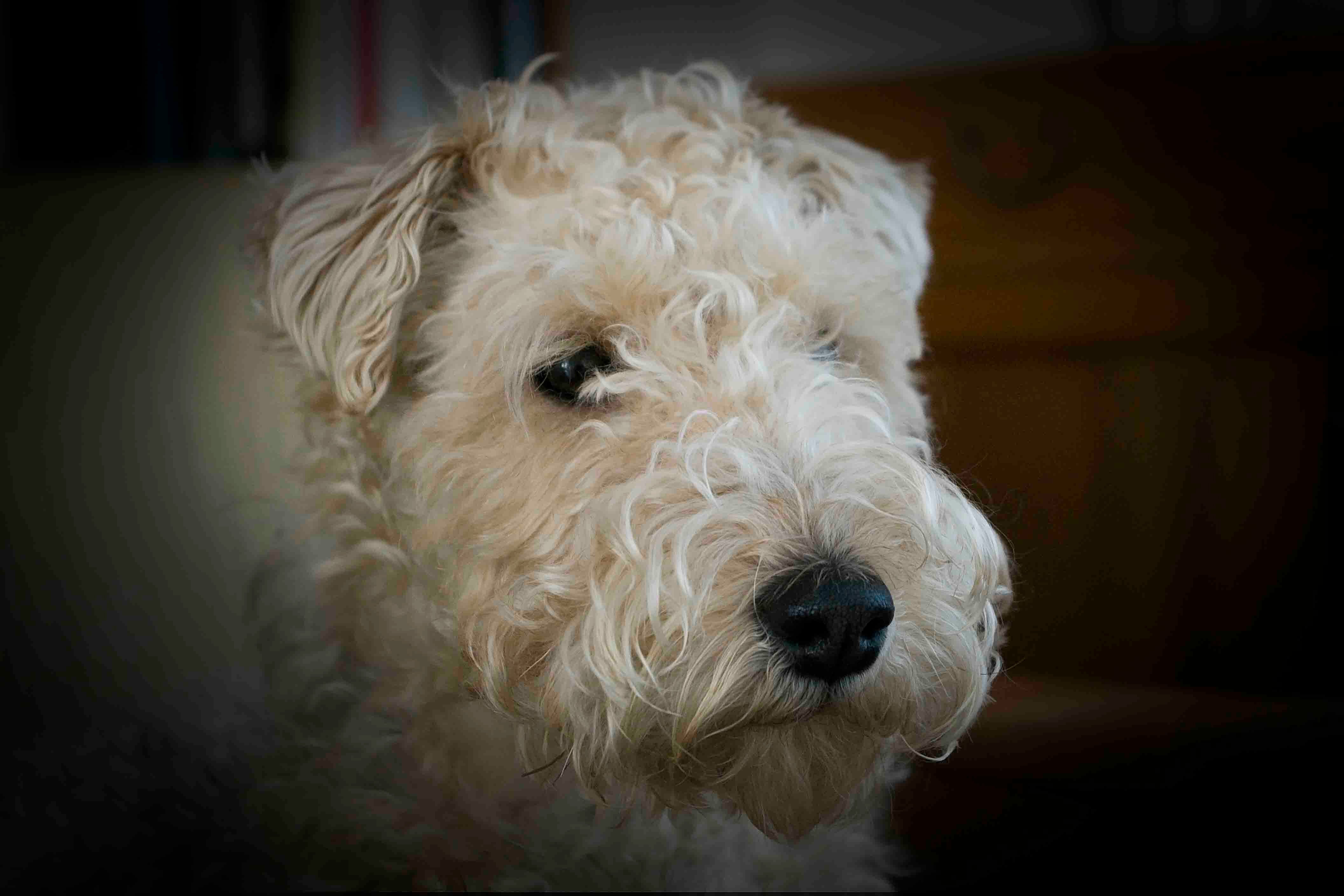 AgatonRask's profile picture. Politiskt intresserad, omvärldsorienterad och deltar gärna i diskussioner..