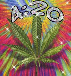 Lorrane21668481's profile picture. 