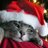 thecat_follow's profile image