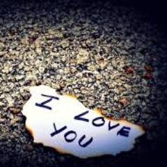 Always Love You , ,
