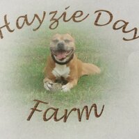 Hayzie Day Farm(@HayzieDayFarm) 's Twitter Profile Photo