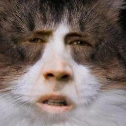 _ndhg's profile picture. It's like we're made to suffer