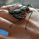 Darren Storey - @Storey_DJ - Twitter