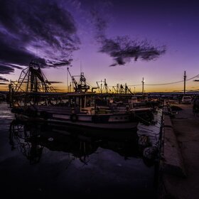 PTulagha's profile picture. 