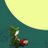 Lica717's profile image