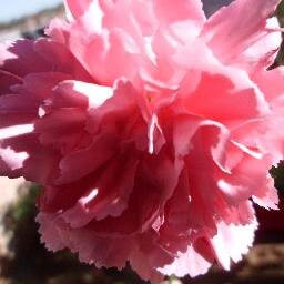 rm18_rm's profile picture. Perfecto