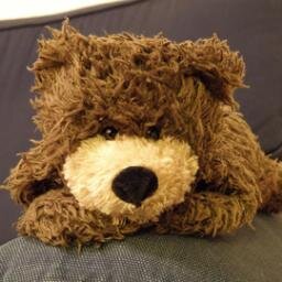 Little brother of @Deano_bear who lives in Swedenland with mummy hoomun.