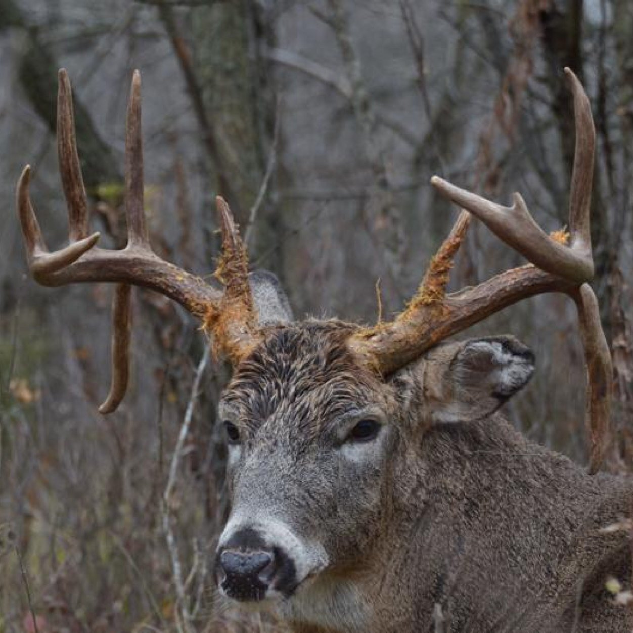 Enjoy the outdoors,  hunting, fishing, photographing.