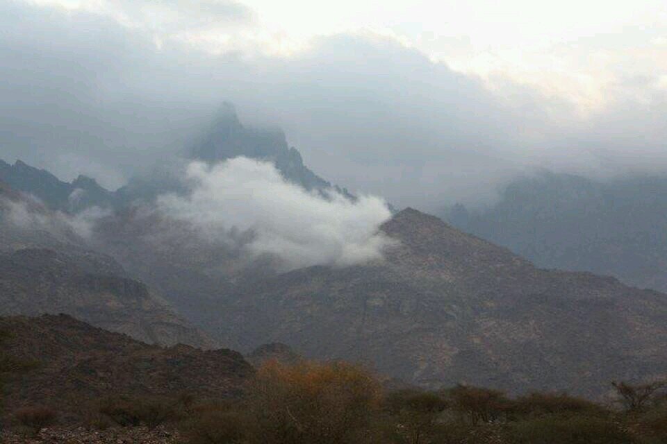 الحساب خاص بأخبار ومناسبات # الأحامدة من قبيلةحرب هدفنا خدمة القبيلة اعلاميا والتواصل ونشر الاخبار والمناسبات طلال نصار الاحمدي