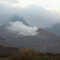 قبيلة الاحامدةمن حرب (@alahamdhgrop) 's Twitter Profile