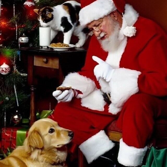 Deck_The_Halls1's profile picture. Follow for Christmas updates, countdown, and quotes!❤️❄️⛄️