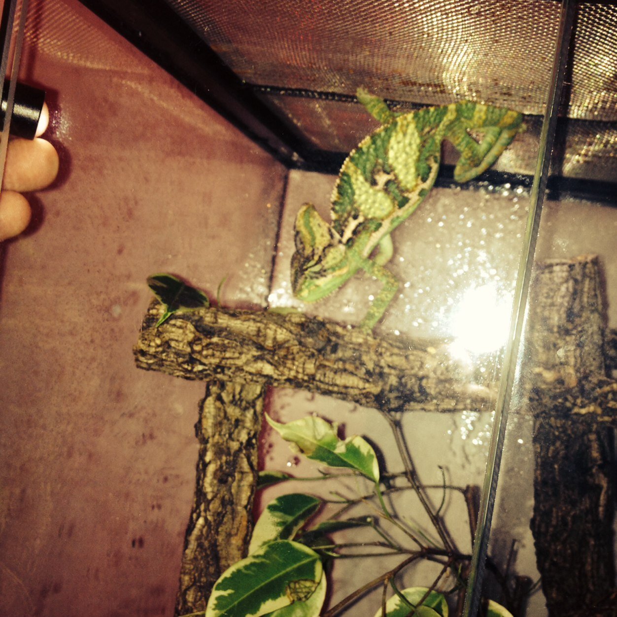 Travis34304539's profile picture. 