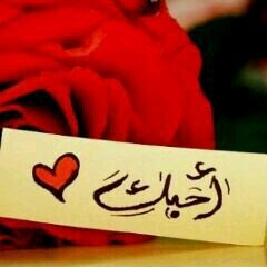 *.يسخر من الجروح من ﻻيعرف اﻻلم. *