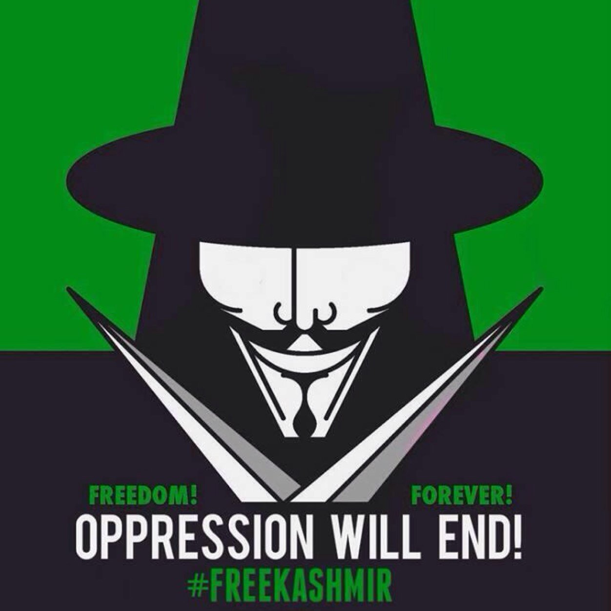 The Truth Shall Set Us Free 
Backup @OpKashmir_TJ
