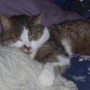 Michele Danforth - @MicheleDan - Twitter