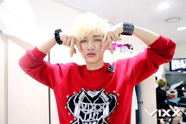 95liner, v i double x