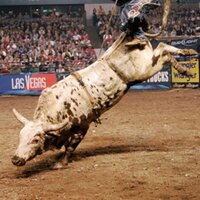 TexasAlert (@texasalert) 's Twitter Profile