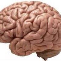 Brain Lat (@brainlat) 's Twitter Profile