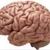 Brain Lat (@brainlat) Twitter profile photo