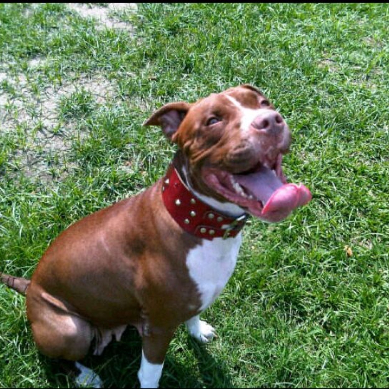 GEORKOI's profile picture. ESCRIBIENDO MI HISTORIA #UNPASOALAVEZ🤖 Y A DIARIO.