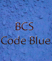 BCSCodeBlue's profile picture. Brazosport Christian School began in 1980 at First Baptist Church.  We are now located behind Willow Dr. Baptist church.  We are not affiliated with any church.