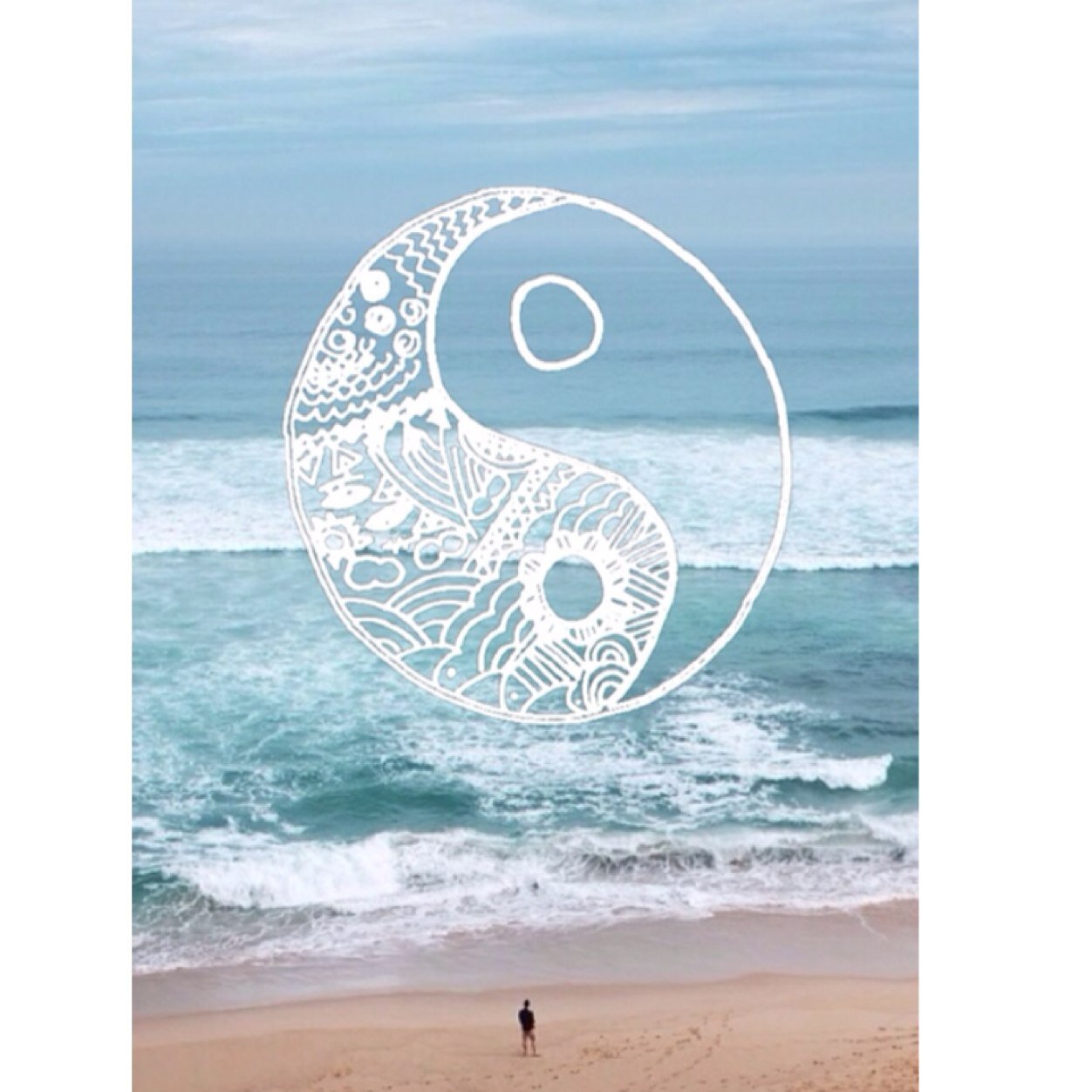 lucyhopo1's profile picture. 12//notsgall