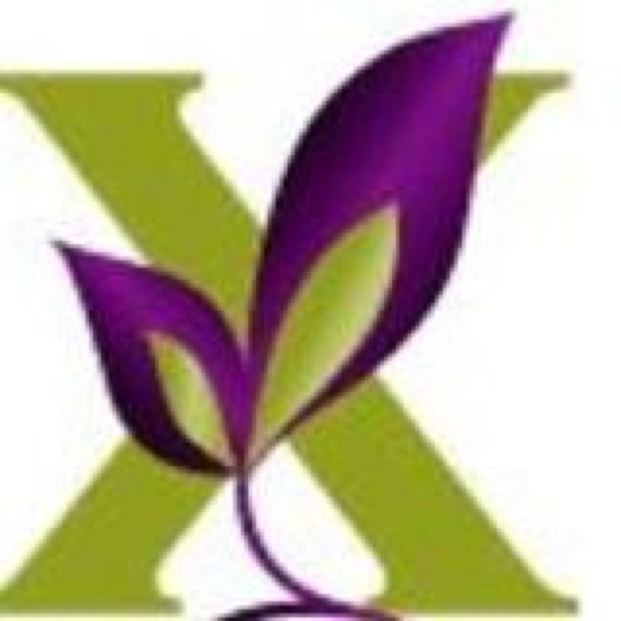 WaxBarMiami's profile picture. Miami's BEST full body waxing and skincare center, for MEN and women