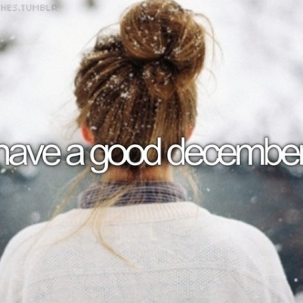 ~follow me ~ op naar de 100 ~ cijfergooi account~