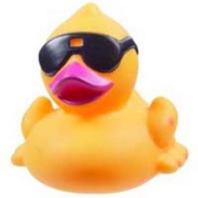 Profile Picture of  ❤️ FizzyDuck  ❤️ (@FizzyDuck) on Twitter