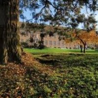 PSYCHOLOGY SSLC (@psychologysslc) 's Twitter Profile