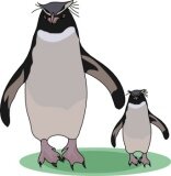 Penguirl25's profile picture. Bengals fan, love to read.