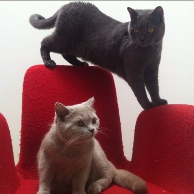 sasnoriのプロフィール写真
