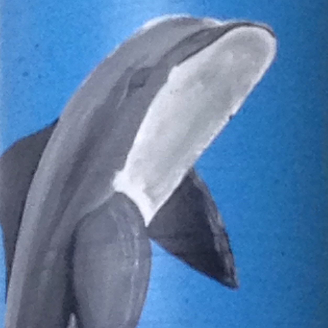 MoizAmena's profile picture. 