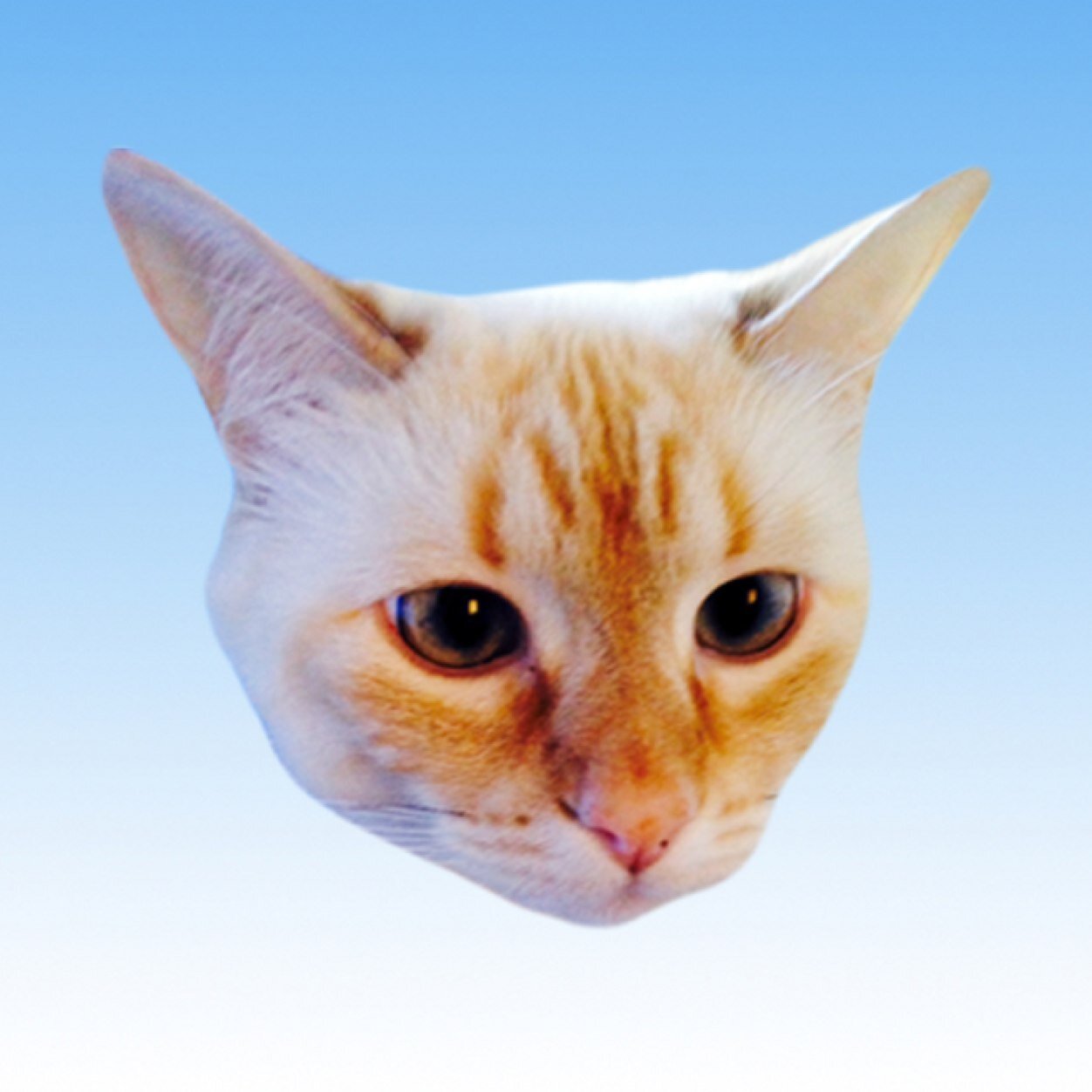 P0sitivePunk's profile picture. SPREADING POSI VIBES