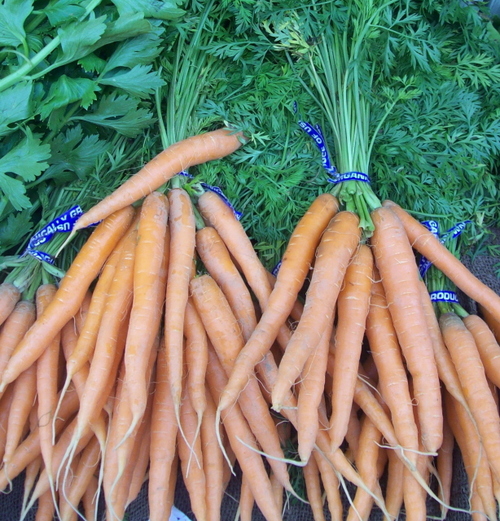 Food of Maine People, by Maine People, and for Maine People!