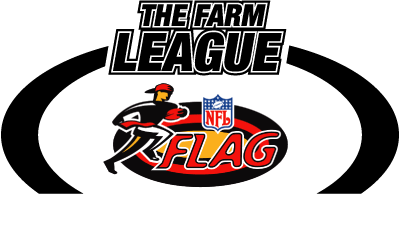 leagues & tournaments: 7 on 7 , NFL 5 on 5, 8 on 8 mens flag, youth baseball, basketball, softball and indoor soccer.