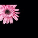 mandy barker - @mandymbarker - Twitter