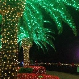 flbeachbum25's profile picture. Loving life!